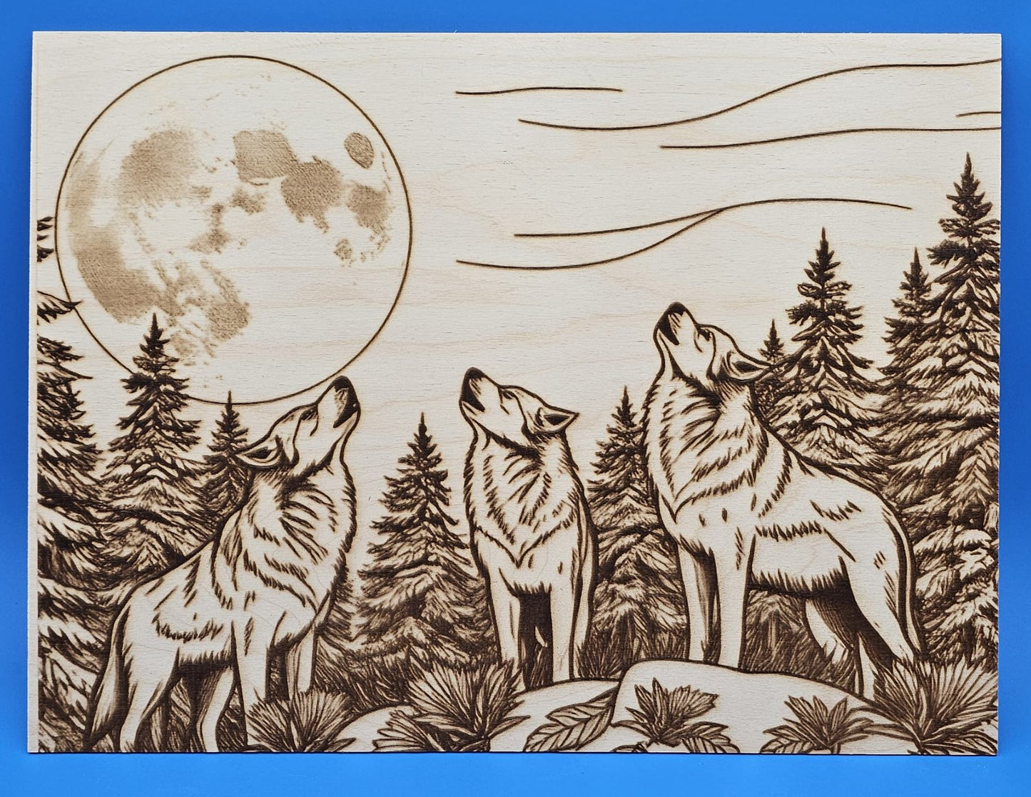 Picture Puzzles